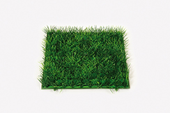 grass plate