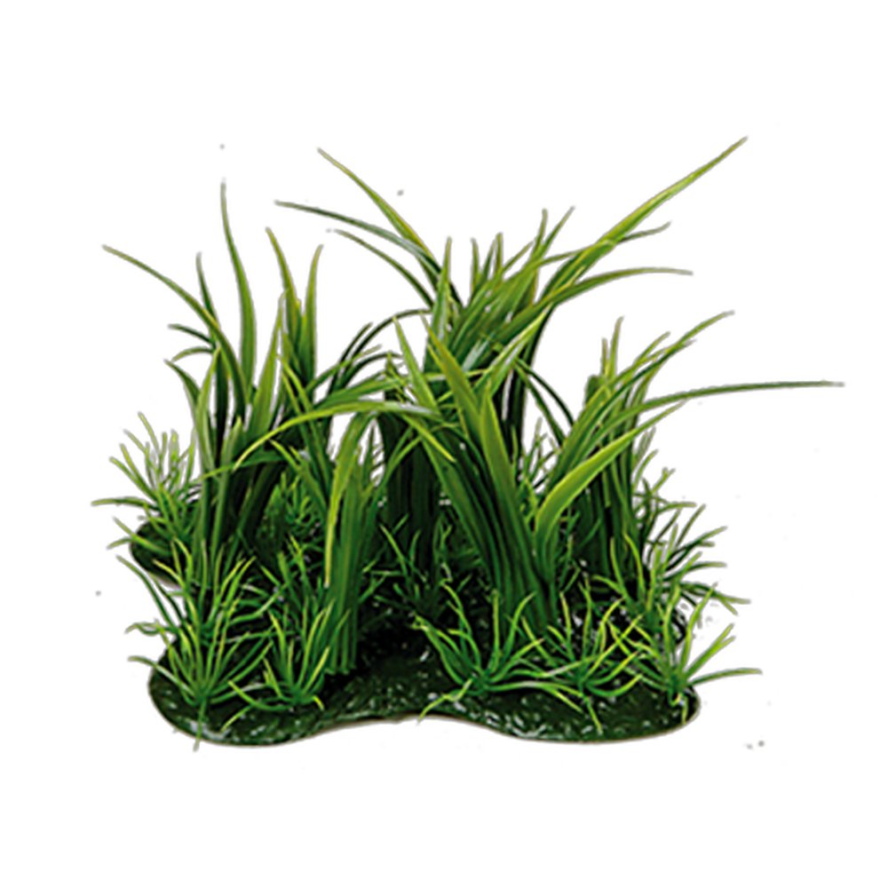 plaque d'herbe