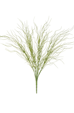 [0043395] grass bush