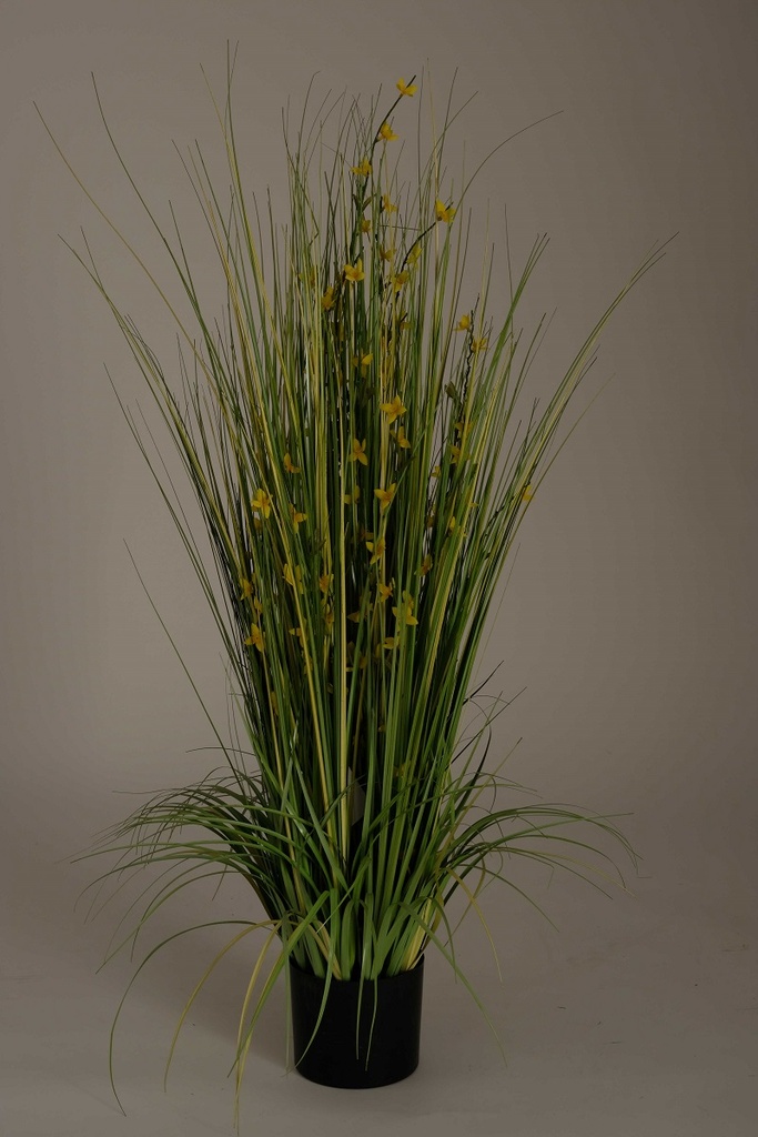 grasstruik + gele bloesem