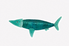 requin 'bruno aqua'