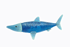 [0682152] requin 'bruno aqua' (bleu)