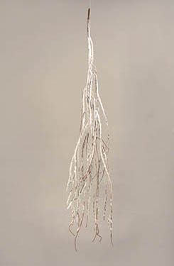 branche pendante avec neige