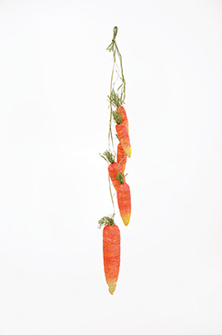[0682028] hanger met 6 wortelen