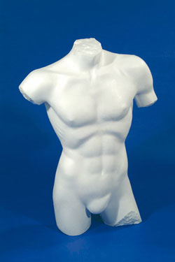 [0071226] male torso flat back