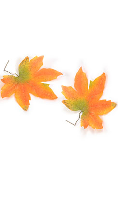 herfstbladeren