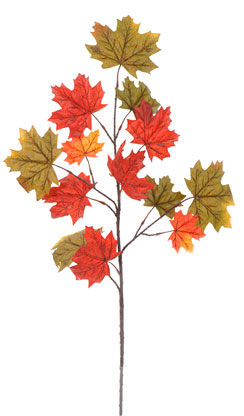 [0687004] brindille automnale 'forest'