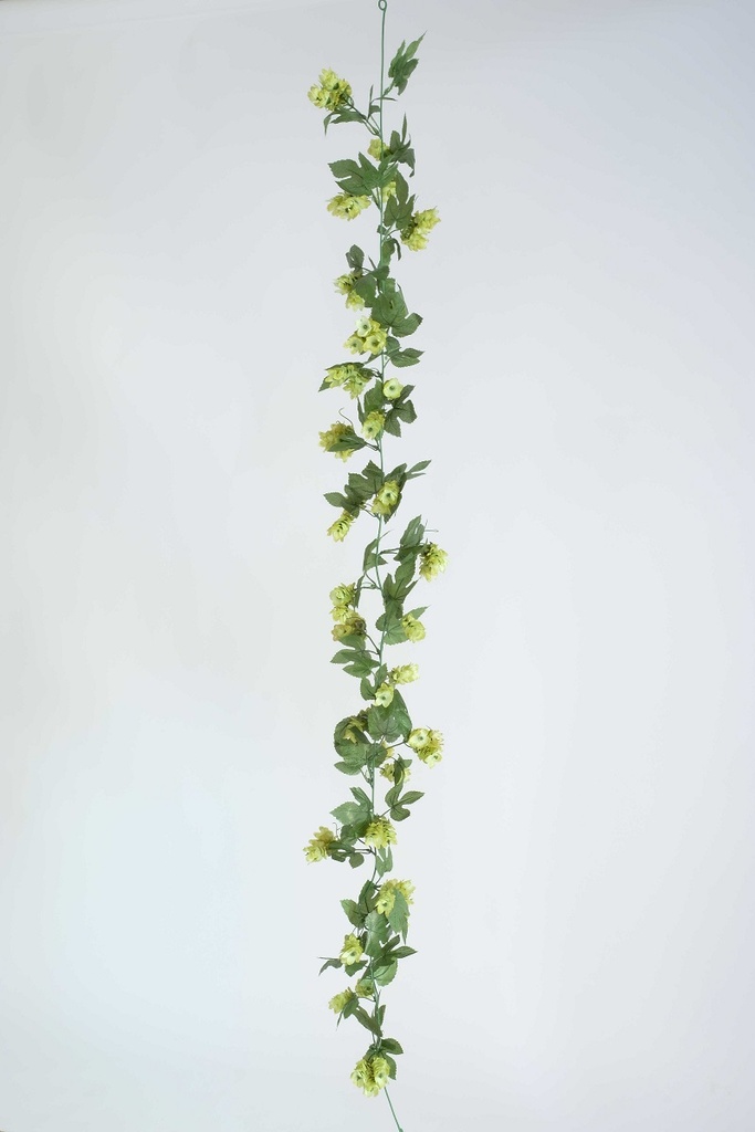 [0687002] hop garland