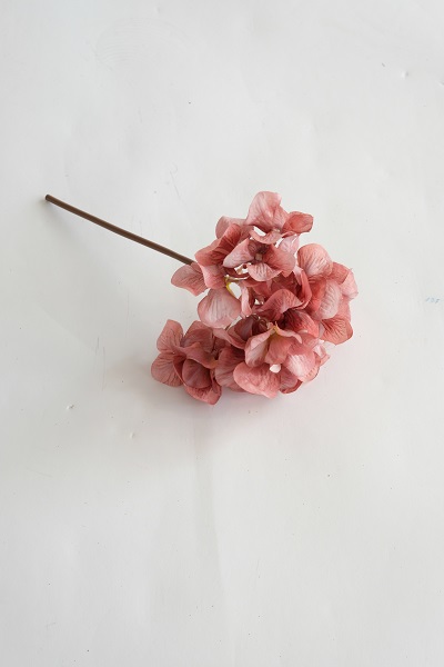 [0043528] hydrangea / stem
