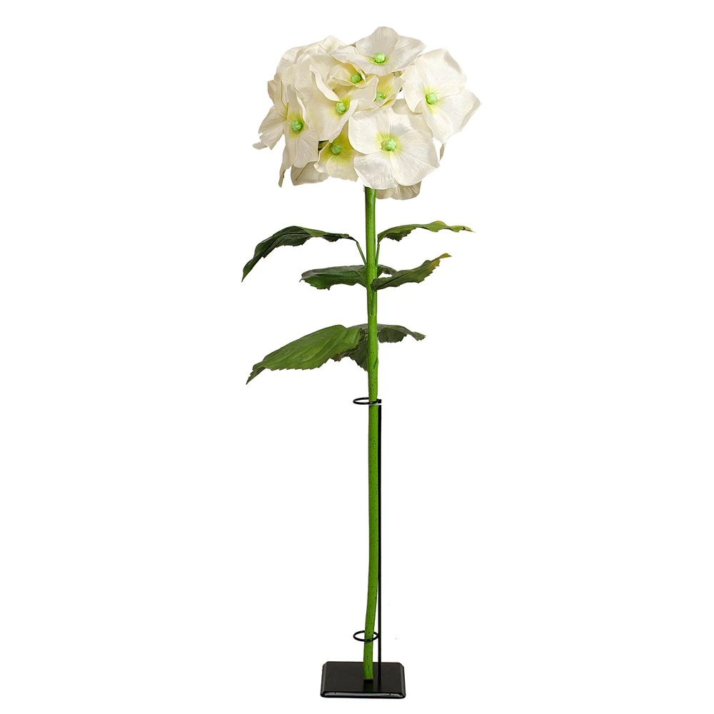 hydrangea XL
