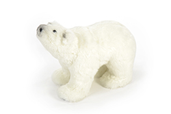 [0037778] polar bear