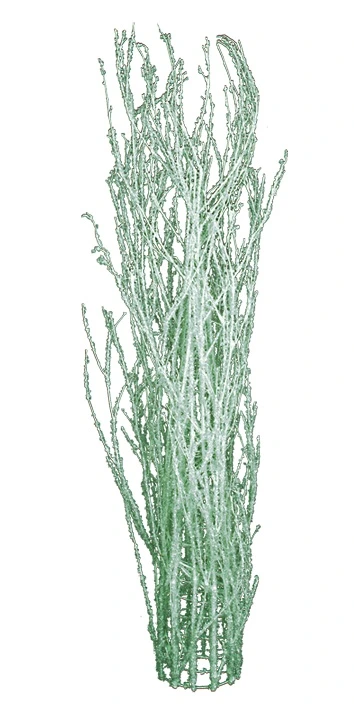 arbre à glace