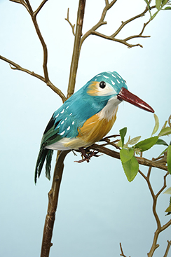 [0689728] kingfisher
