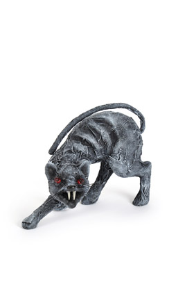 [0687304] cat 'zombie'