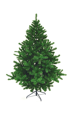 sapin 'noble'