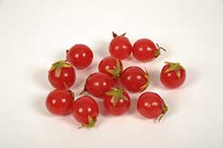 tomates cerisier