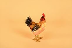 chicken (nature, 17x9xh.22cm, polystyrene + feathers)