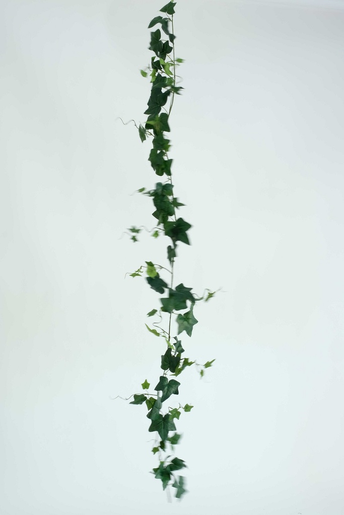 [0687042] ivy garland (green)