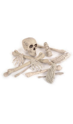 [0048926] set of bones 12 pieces
