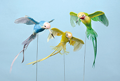[0684509] flying hummingbirds