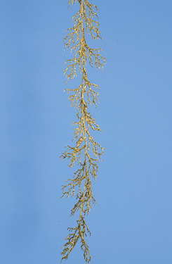 [0683516] coral garland (gold)