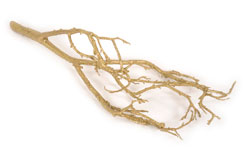 [0686313] coralbranch (gold, 185cm)