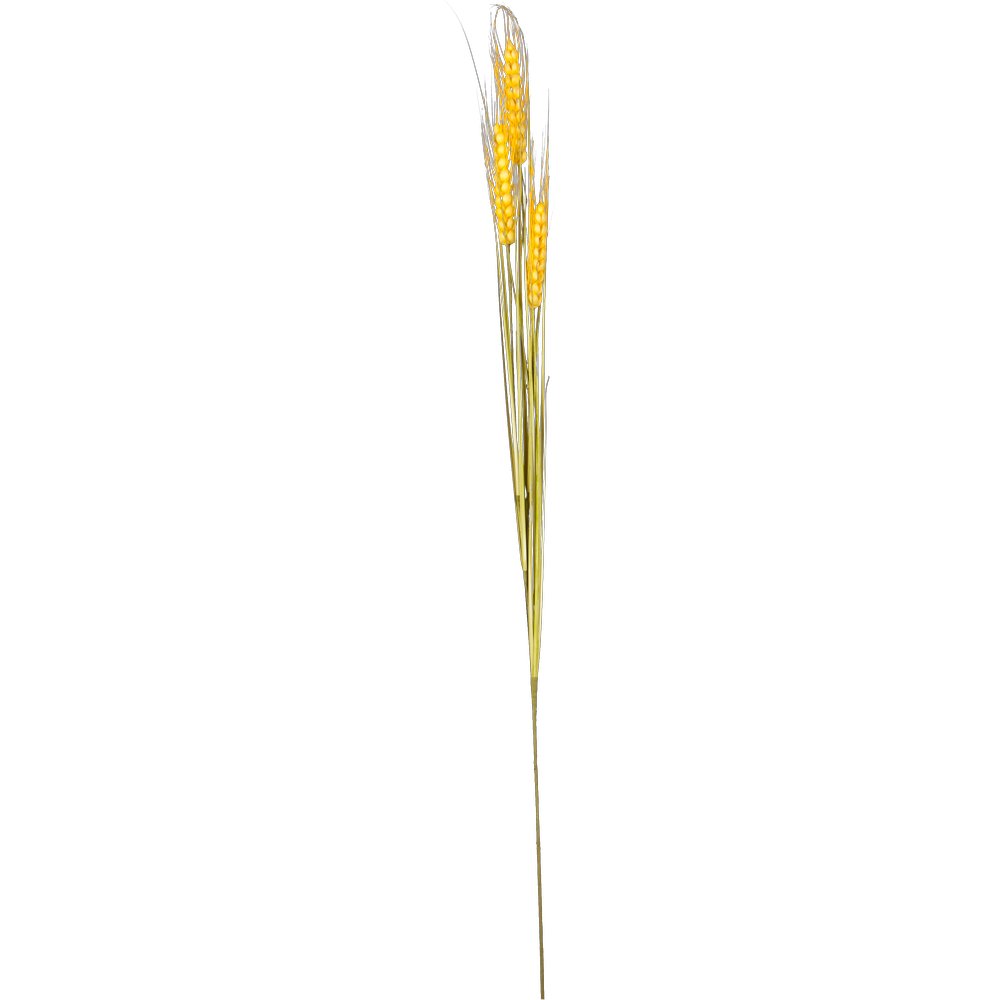 [0682689] korenaren (3st)