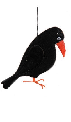 crow