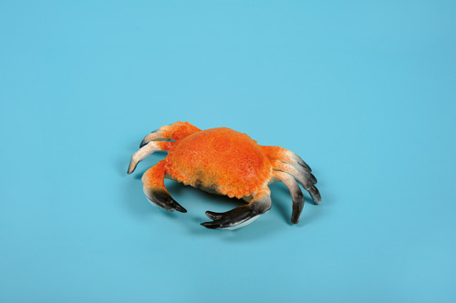 [0054512] krab klein