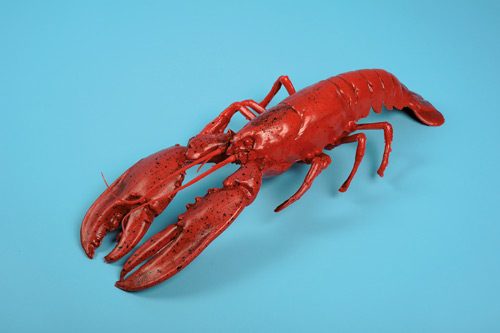 [0054515] lobster large