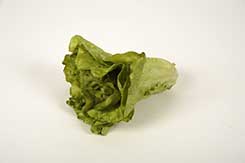 kropsla