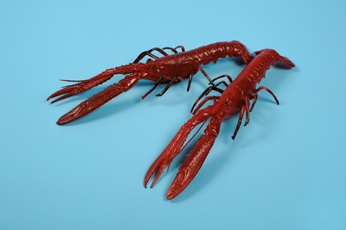 [0054518] langoustine (300x110mm)