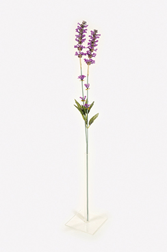 [0689083] lavendertwig x2