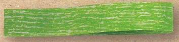 ribbon 'LIFE'