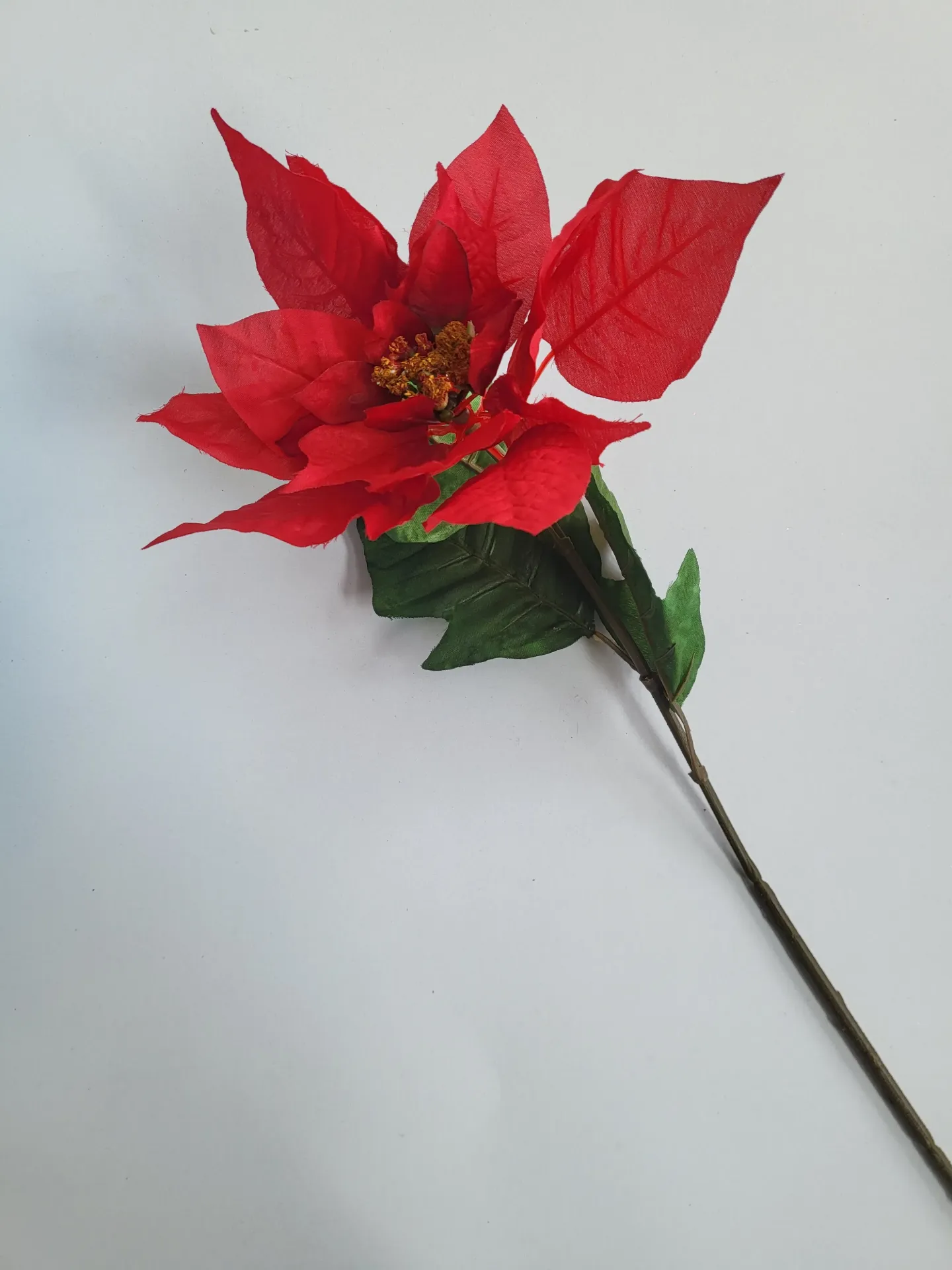 kerstroos 1 bloem 3 bladeren
