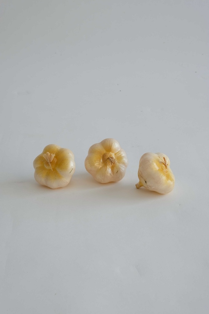 [0054214] knoflook