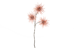 [0043464] lychee