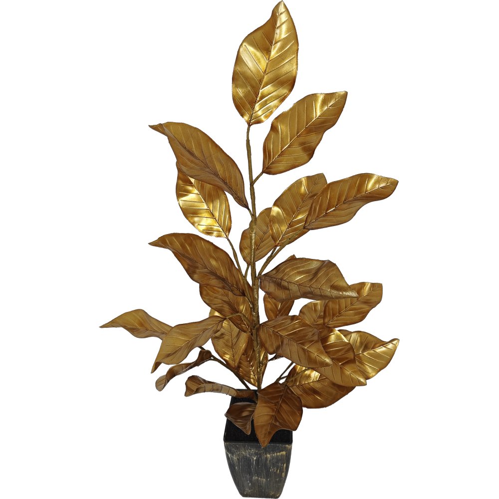 [0684435] magnoliaboom deluxe