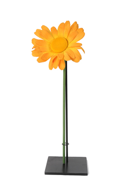 margriet 'XL'