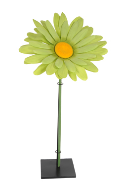 daisy 'XXL'