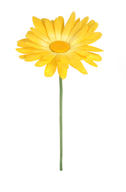 margriet 'XXL'