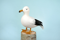[0684921] standing seagull