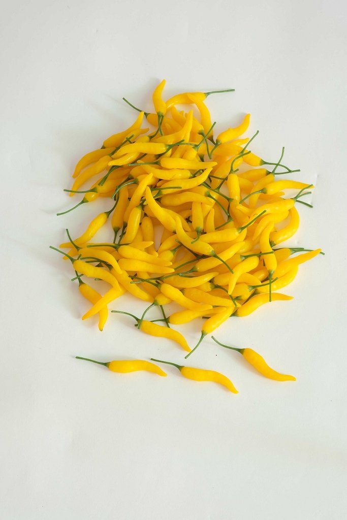 mini-poivrons