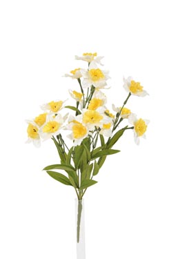 bouquet de narcisses