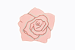 [0685160] nylon rose with glitter (Ø47cm)