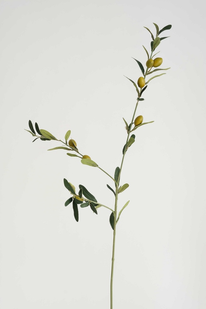 olijftak met olijven