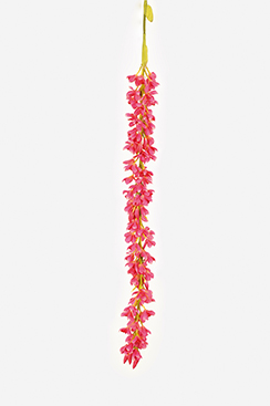 [0684626] orchidee 'cymbidium' (fuchsia, 114cm)