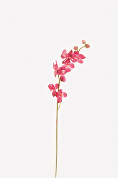 [0689075] orchidee/steel (paars)