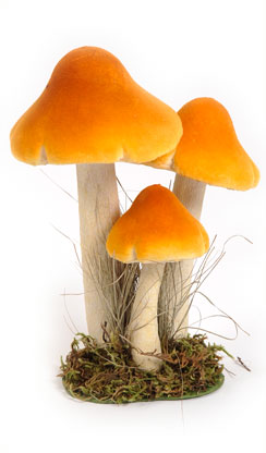 [0681702] champignon x3