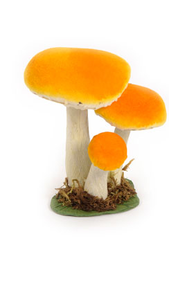 paddenstoel x3 geel